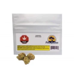 Palm Gardens Island Breeze