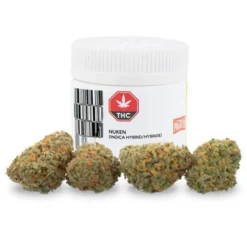 Palmetto Nuken New Arrivals