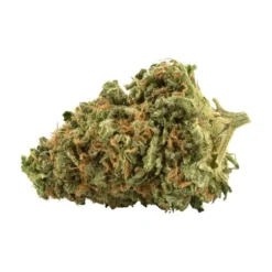 New Arrivals Palmetto Platinum Cookies