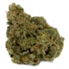 Panorama Master Kush New Arrivals