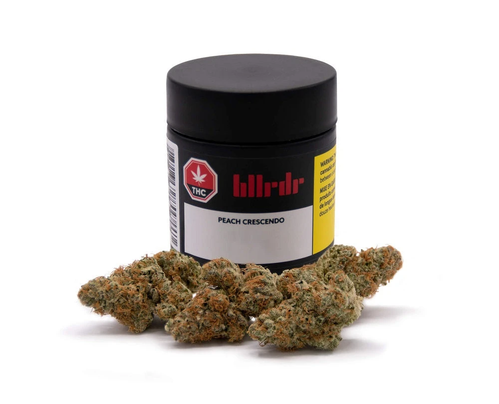 BLLRDR Peach Crescendo New Arrivals 3 BLLRDR Peach Crescendo New Arrivals