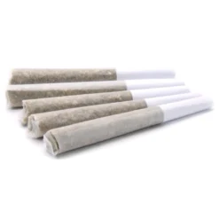 BLLRDR Peach PR 5 X 0.5 G