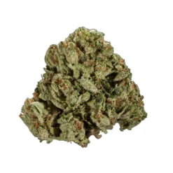 Carmel New Arrivals Peanut Butter Breath