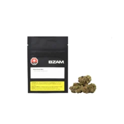 BZAM Peanut Butter MAC New Arrivals