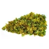 New Arrivals Color Cannabis Pedro's Sweet Sativa