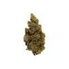 BOAZ Pheno X New Arrivals
