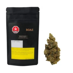 BOAZ Pheno X New Arrivals