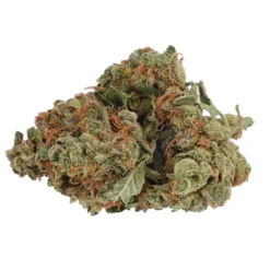 Back Forty Pine Kush New Arrivals