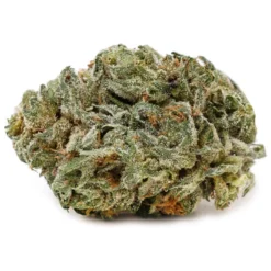 Pure Sunfarms Pine Tar Kush New Arrivals