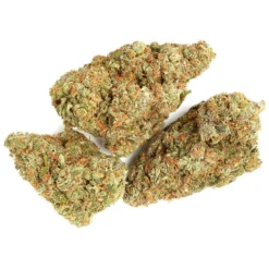 Divvy Pineapple Nuken 6 Divvy Pineapple Nuken