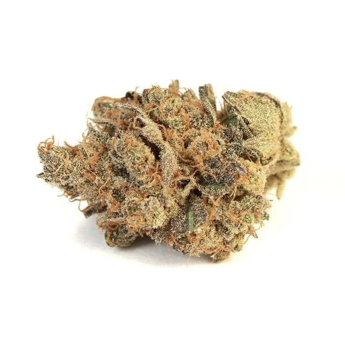 Wagners Pink Bubba New Arrivals 3 Wagners Pink Bubba New Arrivals