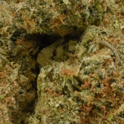 CALI Pink Diamonds New Arrivals