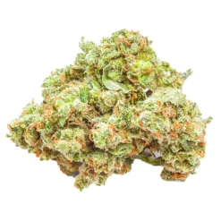Rad Reefer Pink Haze New Arrivals