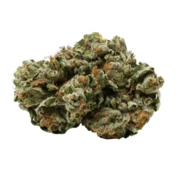 New Arrivals Pure Sunfarms Pink - Kush