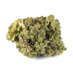 New Arrivals San Rafael '71 Pink Kush