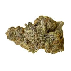 New Arrivals BOAZ Pizza Breath