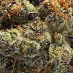 Organnicraft New Arrivals Platinum Grapes