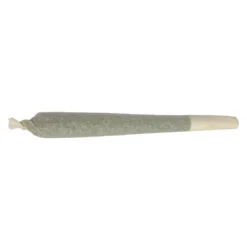 Qwest Point Break PR 2 X 0.5 G Pre-Rolls
