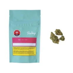 New Arrivals Poolboy Bruce