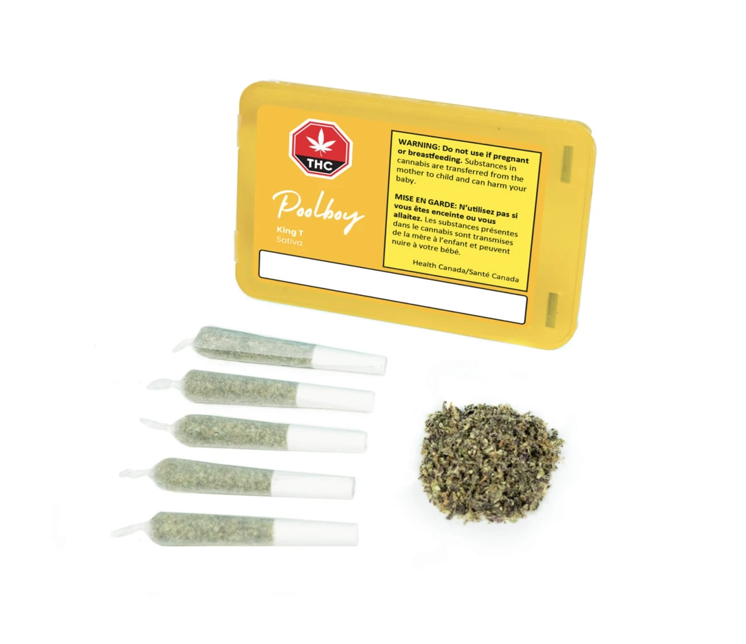 Poolboy King T 4 Poolboy King T