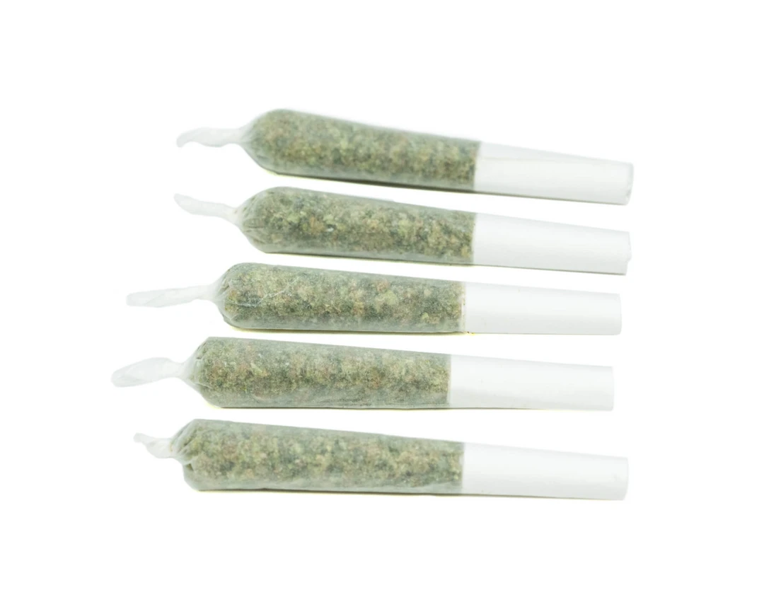 Poolboy King T 3 Poolboy King T