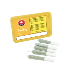 Poolboy King T 7 Poolboy King T