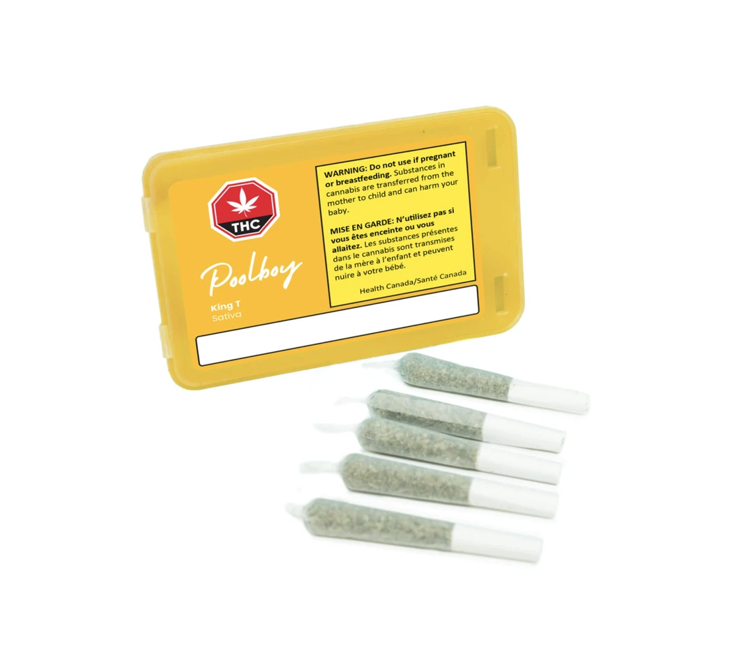 Poolboy King T 5 Poolboy King T