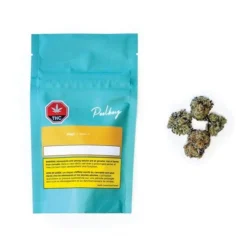 Poolboy King T New Arrivals