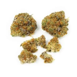 Poolboy RaspBerry Cough