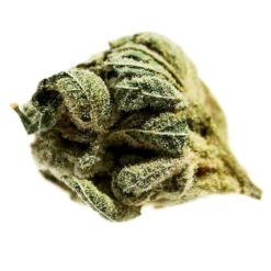 Potluck Pineapple Express