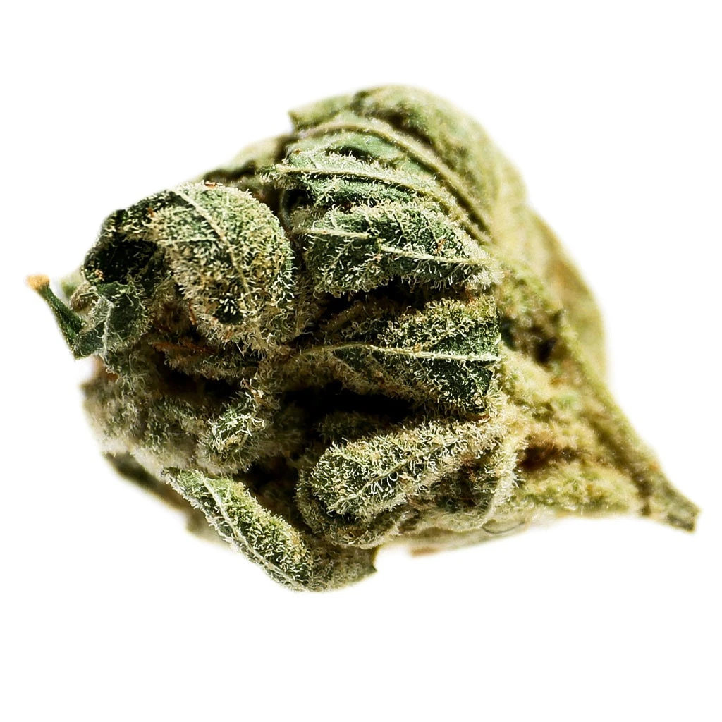 Potluck Pineapple Express 3 Potluck Pineapple Express