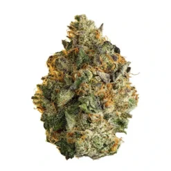 Big Bag O' Buds Powdered Donuts