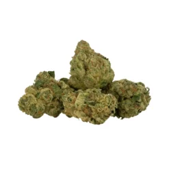 Tweed New Arrivals Powdered Donuts