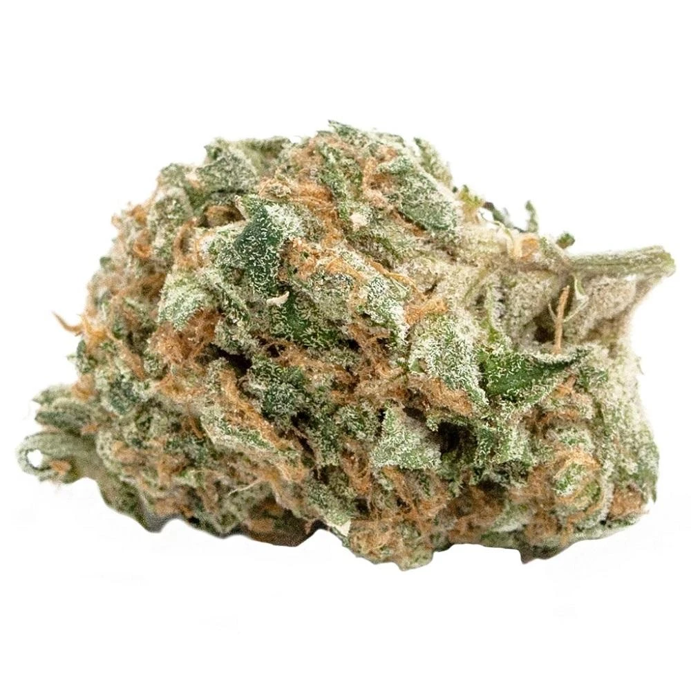 Shelter Craft Prairie Grass B-Banner New Arrivals 3 Shelter Craft Prairie Grass B-Banner New Arrivals