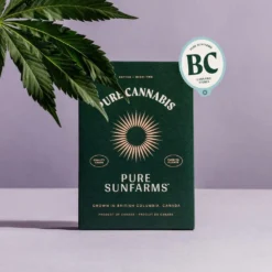 New Arrivals Pure Sunfarms Black Cherry Punch