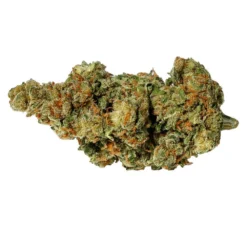 New Arrivals Pure Sunfarms Headband