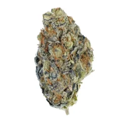 Wagners Purple Clementine New Arrivals