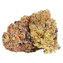 Table Top New Arrivals Purple Punch