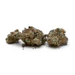 JOI Botanicals Purple Punch Mints #11 New Arrivals 7 JOI Botanicals Purple Punch Mints #11 New Arrivals