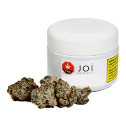 JOI Botanicals Purple Punch Mints #11 New Arrivals