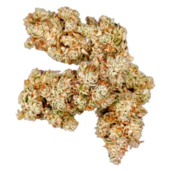 Artisan Batch Purplefarm Genetics Sour Glue New Arrivals