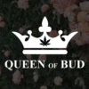 Queen Of Bud Amethyst 10 X 0.35 G Pre-Rolls