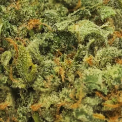 Queen Of Bud Aventurine New Arrivals