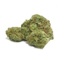 Queen Of Bud Aventurine New Arrivals