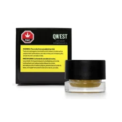 Qwest Apricot Kush Live Sugar New Arrivals