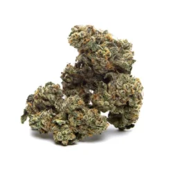 Qwest Kush Mints New Arrivals