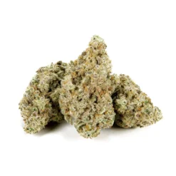 Qwest MAC 1 Reserve New Arrivals