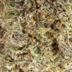 Qwest MAC 1 Reserve New Arrivals