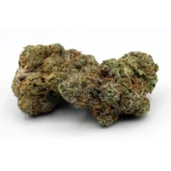 Qwest Sour Tangerine New Arrivals