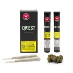 Qwest Sour Tangie 2 Pack Pre Roll (.5g)